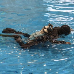 Tauchen gehört zu den beliebtesten Wassersportarten auf der boot.
