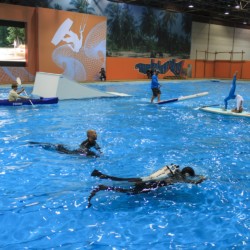 Zahlreiche Trendsportarten sind auf der boot in Düsseldorf vertreten.