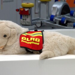 Mit mehr als 1 300 Ausstellern aus 52 Ländern ist die Weltleitmesse für Feuerwehr, Rettungswesen, Bevölkerungsschutz und Sicherheit INTERSCHUTZ in Hannover gestartet.